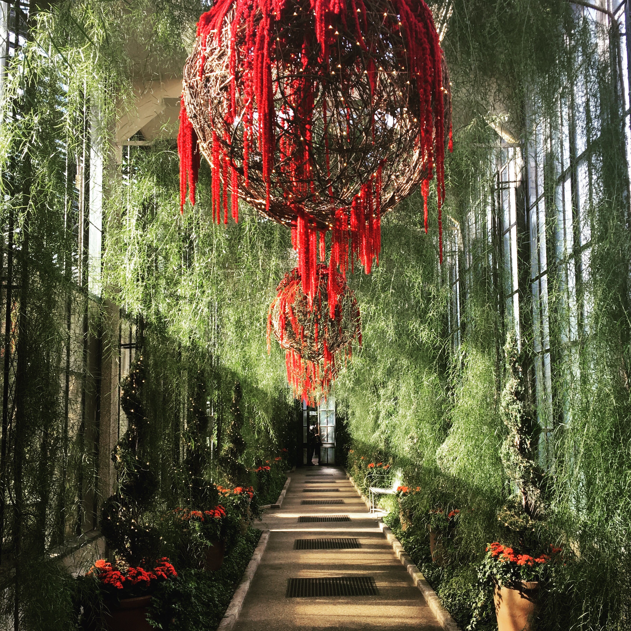 corridor with windows and plants